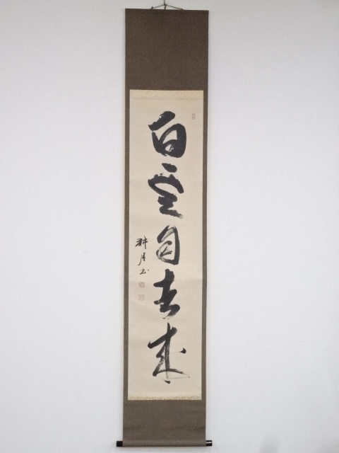JAPANESE HANGING SCROLL / HAND PAINTED / CALLIGRAPHY